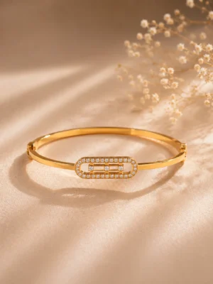 IMG_1676 Bracelet Acier