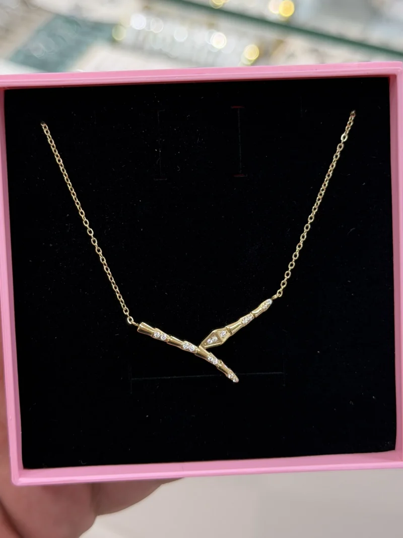 IMG_3758(1) Collier