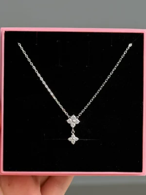 IMG_5034 Collier
