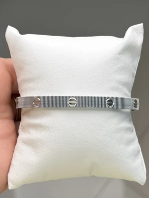 IMG_5089 Bracelet Acier Argenté