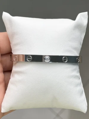 IMG_5123 Bracelet Acier Argent