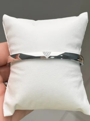 IMG_5129 Bracelet Acier Argent