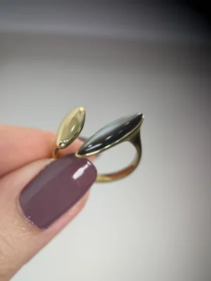 IMG_5404 Bague Ajustable