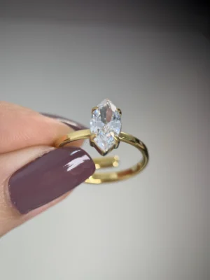 IMG_5407 Bague Ajustable