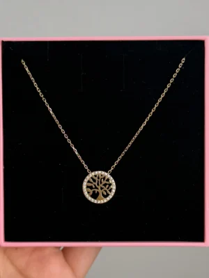 IMG_5725 Collier