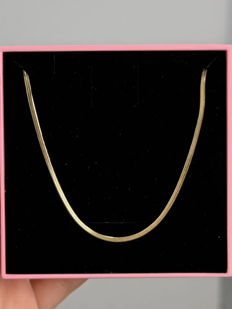 IMG_5768 Collier