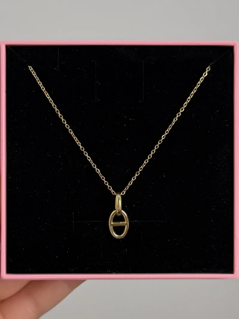 IMG_5838 Collier
