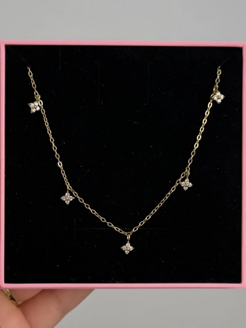 IMG_5844 Collier