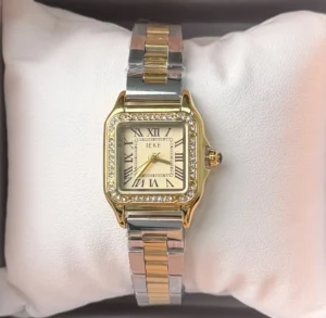 Montre IEKE