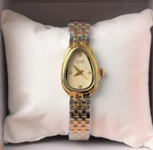 Montre IEKE